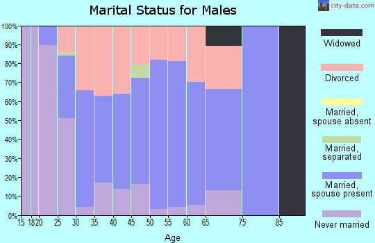 Zip code 63389 marital status for males