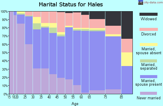 Zip code 63401 marital status for males
