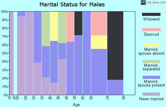 Zip code 63430 marital status for males