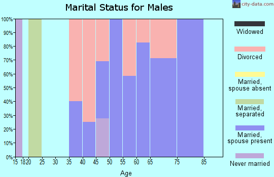 Zip code 63432 marital status for males