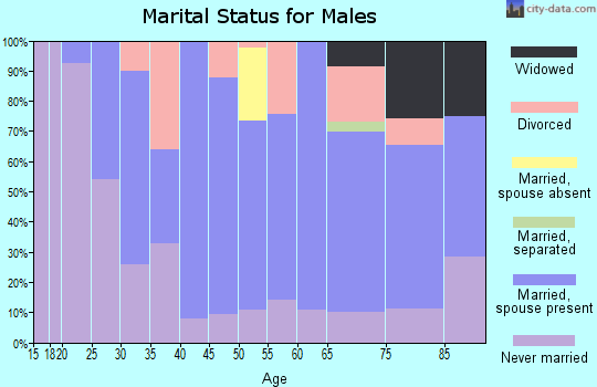 Zip code 63435 marital status for males