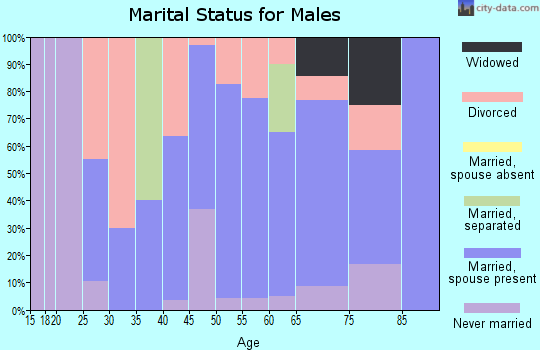 Zip code 63436 marital status for males