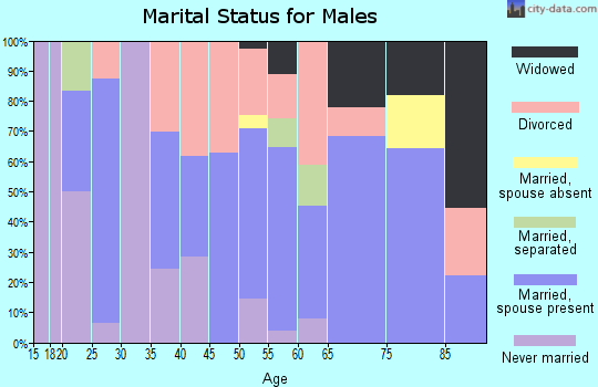 Zip code 63437 marital status for males