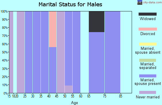 Zip code 63438 marital status for males