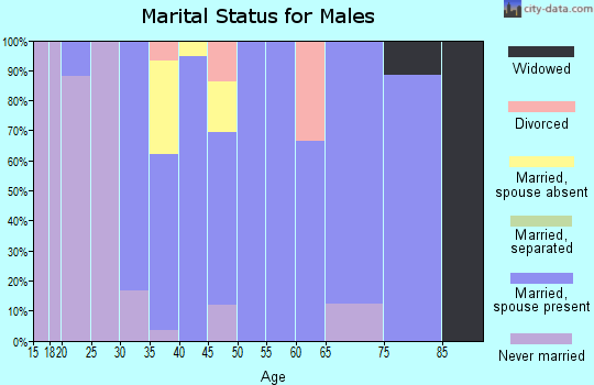 Zip code 63441 marital status for males