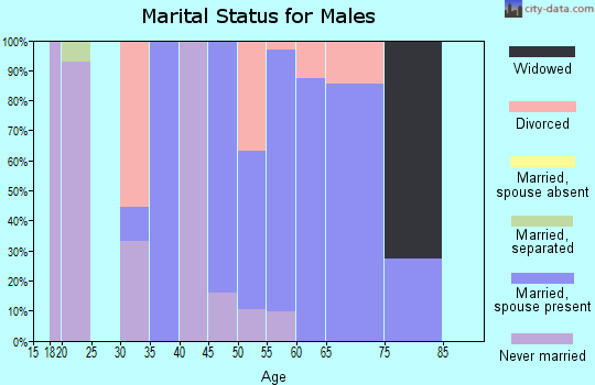 Zip code 63443 marital status for males