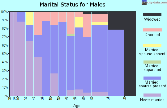 Zip code 63448 marital status for males