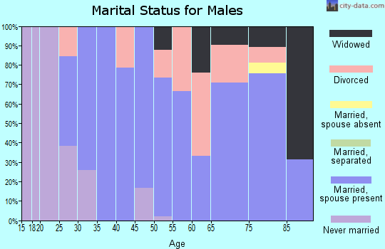 Zip code 63452 marital status for males