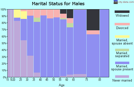 Zip code 63459 marital status for males