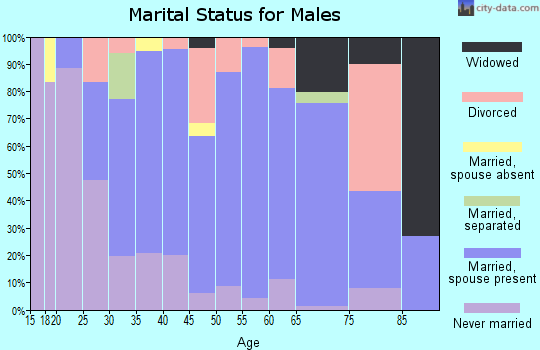 Zip code 63461 marital status for males