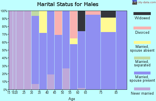Zip code 63462 marital status for males