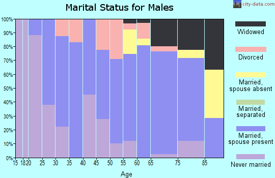Zip code 63468 marital status for males