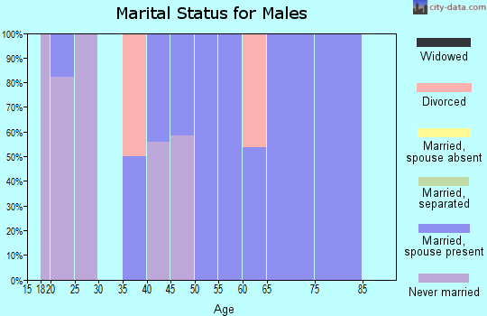 Zip code 63471 marital status for males