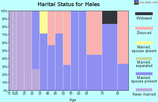 Zip code 63472 marital status for males