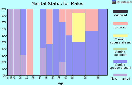 Zip code 63474 marital status for males