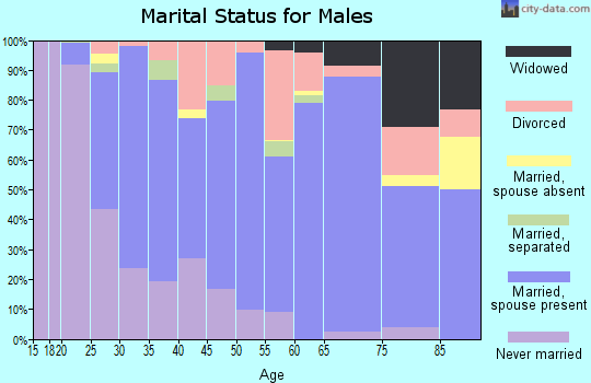 Zip code 63501 marital status for males