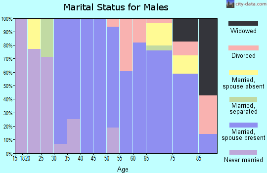 Zip code 63530 marital status for males