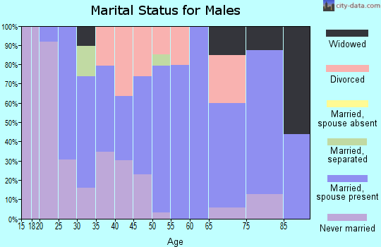 Zip code 63532 marital status for males