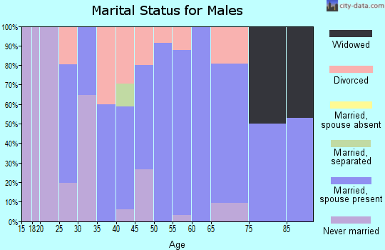 Zip code 63533 marital status for males