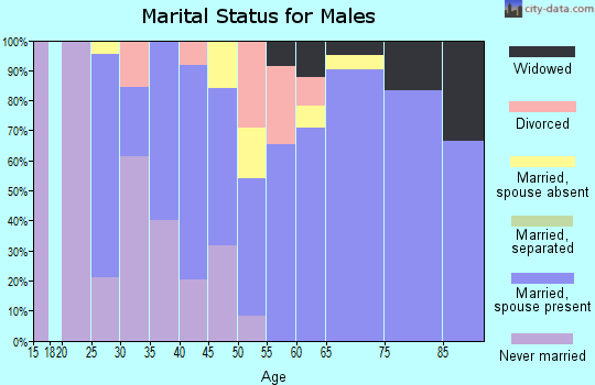 Zip code 63534 marital status for males