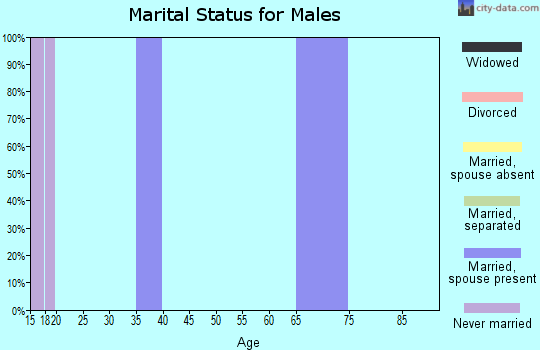 Zip code 63535 marital status for males