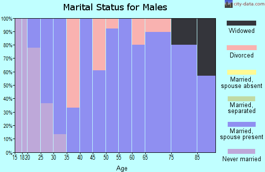 Zip code 63536 marital status for males