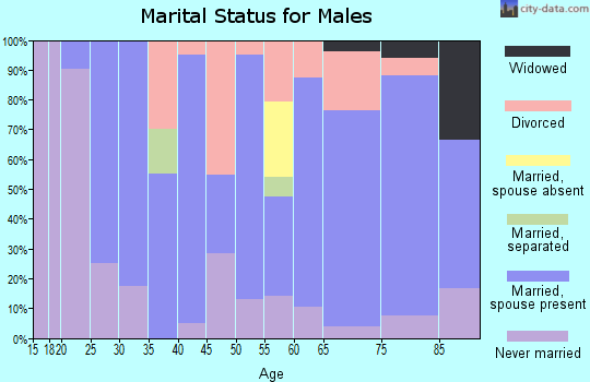 Zip code 63537 marital status for males
