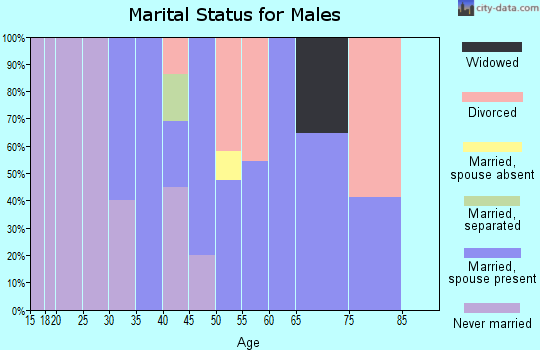 Zip code 63538 marital status for males