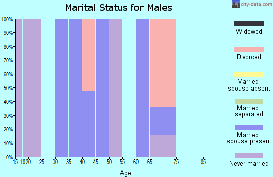 Zip code 63540 marital status for males