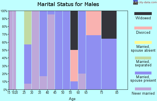 Zip code 63541 marital status for males