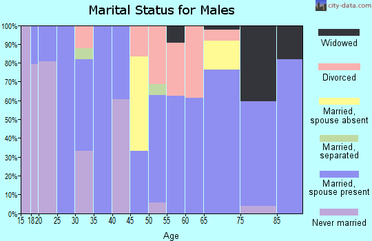 Zip code 63545 marital status for males
