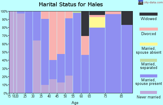Zip code 63546 marital status for males
