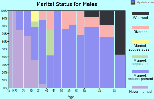 Zip code 63548 marital status for males