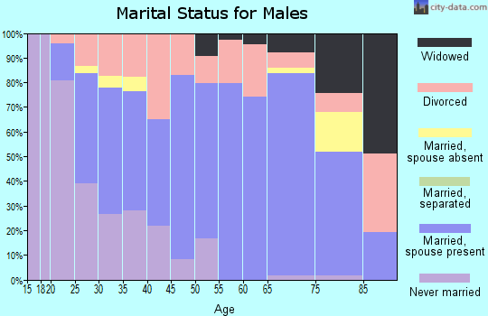 Zip code 63552 marital status for males