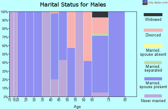 Zip code 63563 marital status for males