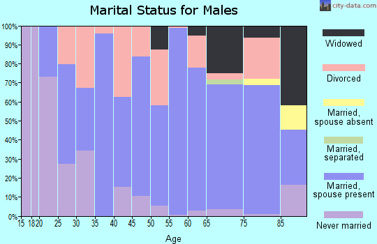 Zip code 63565 marital status for males