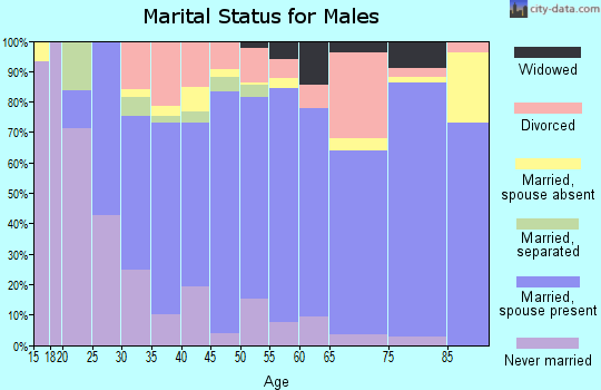 Zip code 63601 marital status for males
