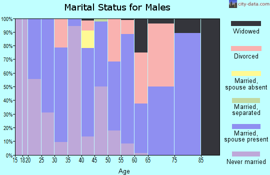 Zip code 63627 marital status for males