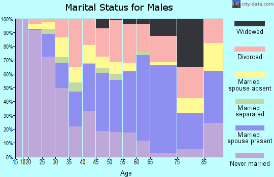 Zip code 63628 marital status for males