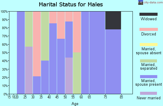 Zip code 63636 marital status for males