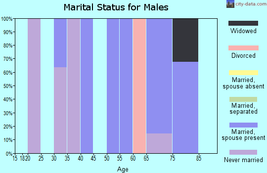 Zip code 63637 marital status for males