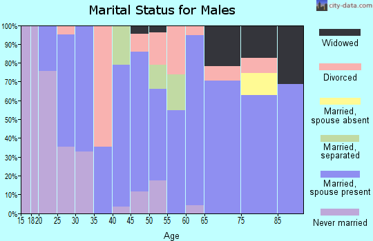 Zip code 63638 marital status for males