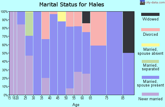 Zip code 63653 marital status for males