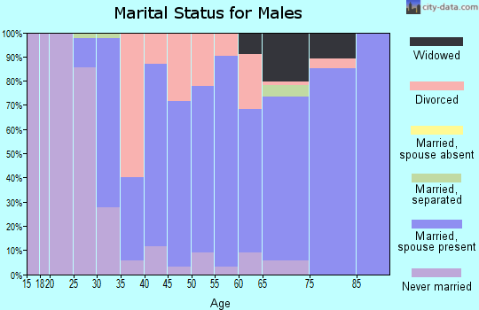 Zip code 63673 marital status for males