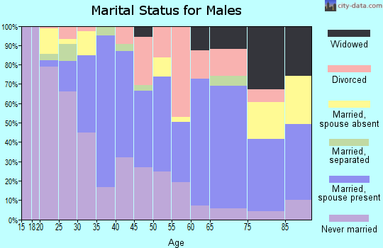 Zip code 63703 marital status for males