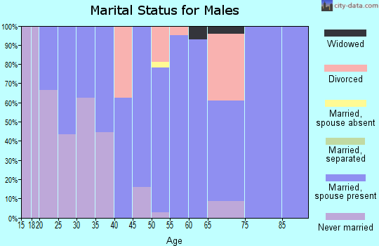 Zip code 63735 marital status for males