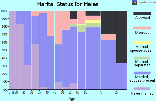 Zip code 63740 marital status for males
