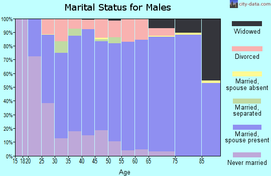 Zip code 63755 marital status for males