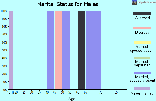 Zip code 63763 marital status for males