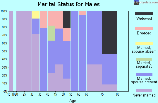 Zip code 63767 marital status for males